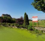 Nieuwbouw:'t Noordeindsche Dael, Berkel en Rodenrijs