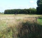 Nieuwbouw:Bouwkavel Kerkhof ong., Heeze