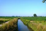 Impressie 2: Hooijdijk Oostflakkee, Ooltgensplaat